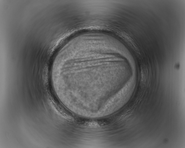 X0000116060588200912111530