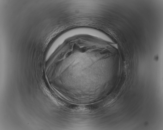 X0000116060589200912111530