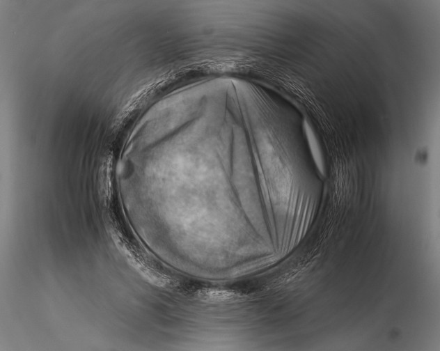 X0000116060590200912111530