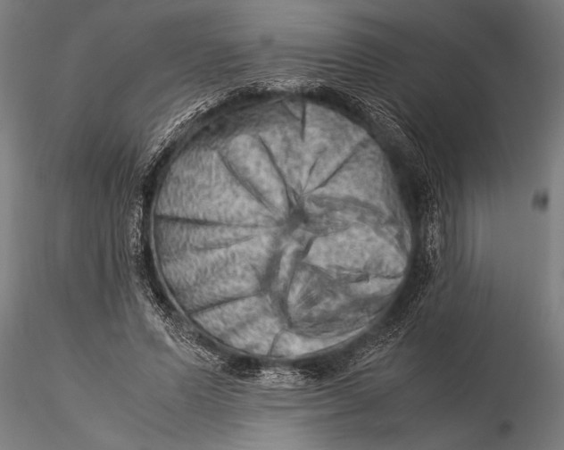 X0000116060591200912111530