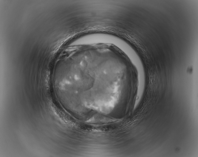 X0000116060592200912111530