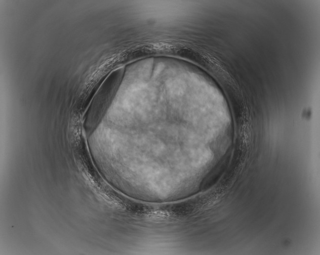 X0000116060593200912111530