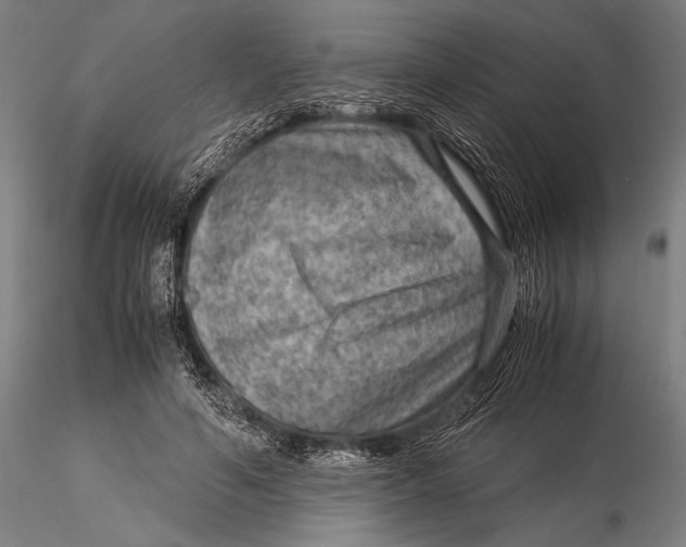 X0000116060594200912111530