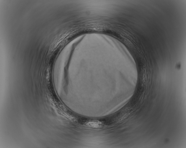 X0000116060595200912111530