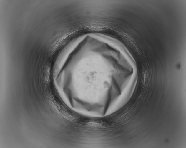 X0000116060596200912111530