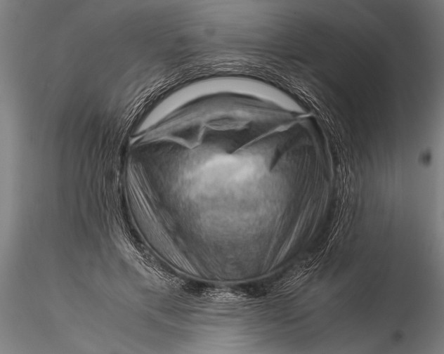 X0000116060597200912111530