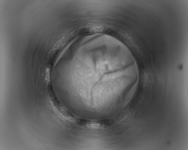 X0000116060598200912111530