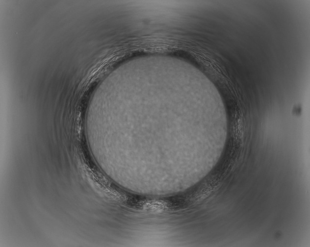 X0000116060599200912111530