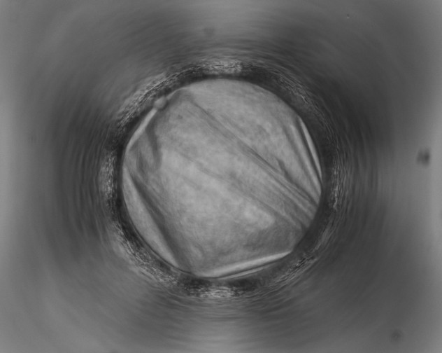 X0000116060600200912111530