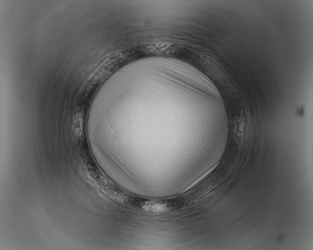 X0000116060602200912111530