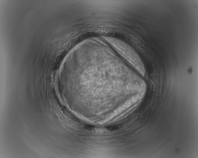 X0000116060605200912111530