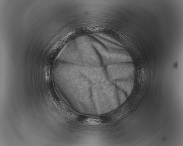 X0000116060606200912111530