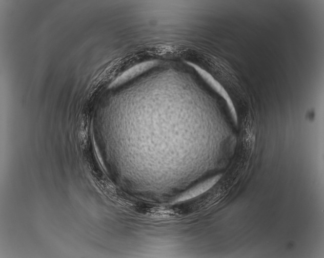 X0000116060607200912111530