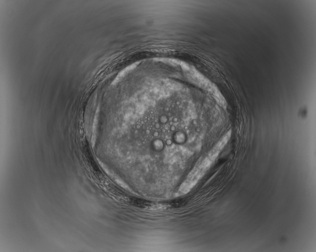 X0000116060609200912111530