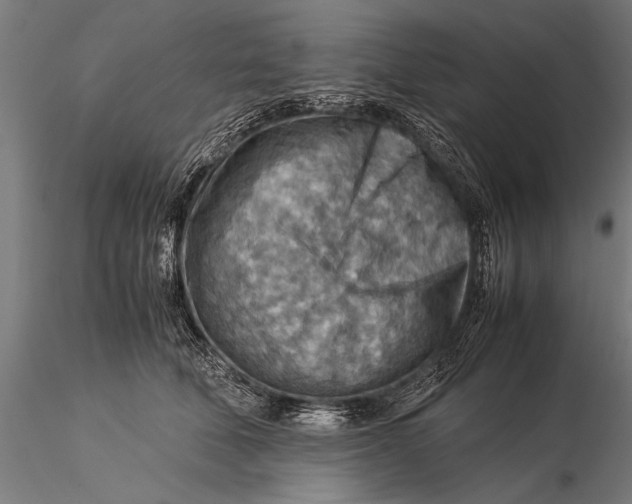 X0000116060610200912111530