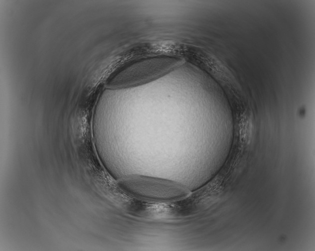 X0000116060611200912111530