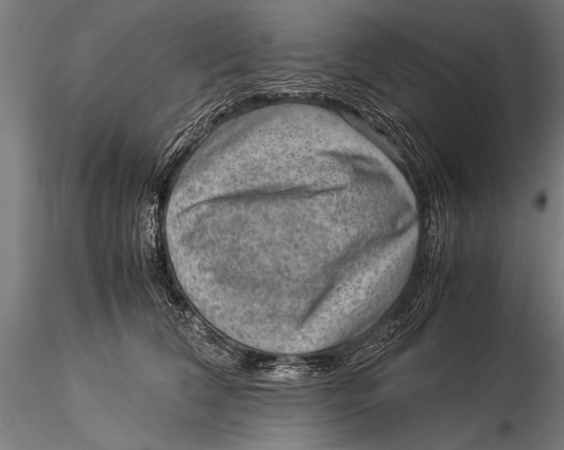 X0000116060612200912111530