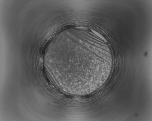 X0000116060613200912111530