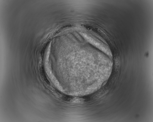 X0000116060617200912111530