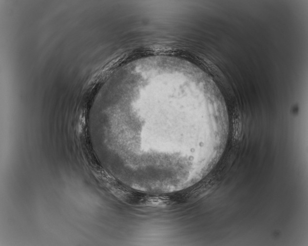 X0000116060618200912111530