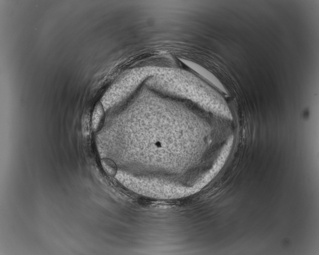 X0000116060620200912111530