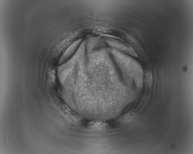 X0000116060621200912111530