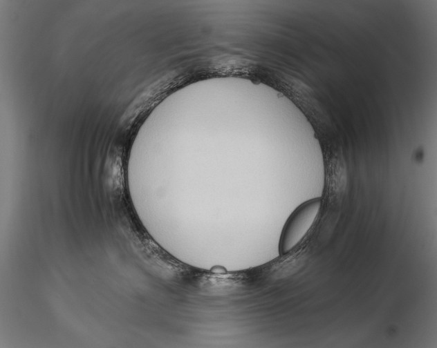 X0000116060622200912111530