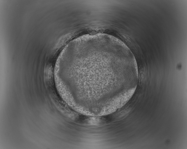 X0000116060623200912111530