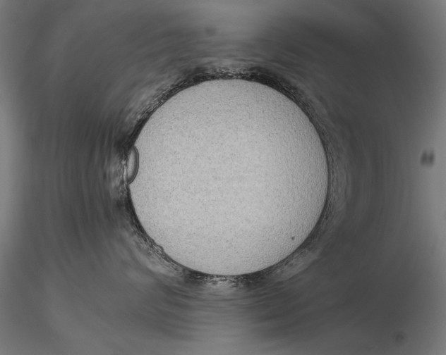 X0000116060624200912111530