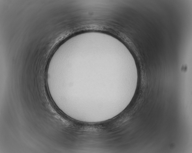 X0000116060625200912111529