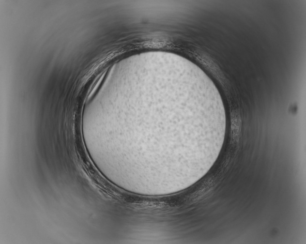 X0000116060626200912111529