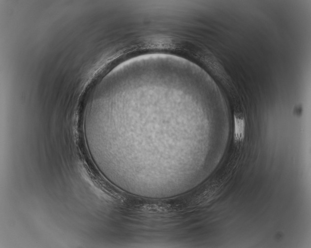 X0000116060627200912111529