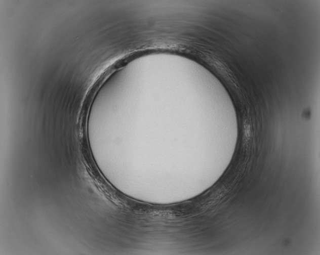 X0000116060628200912111529