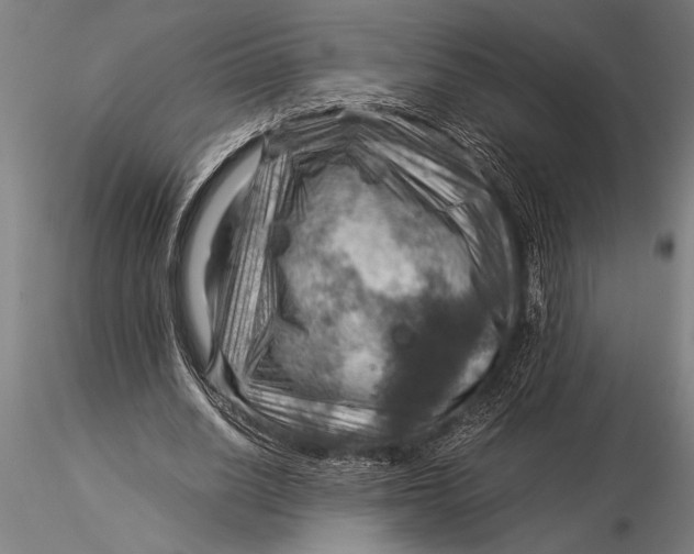 X0000116060630200912111529