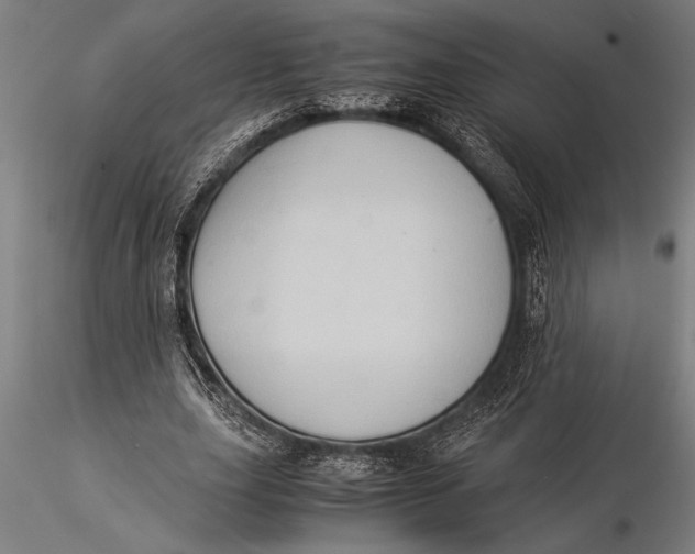 X0000116060631200912111529