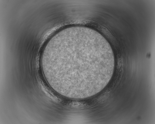 X0000116060632200912111529