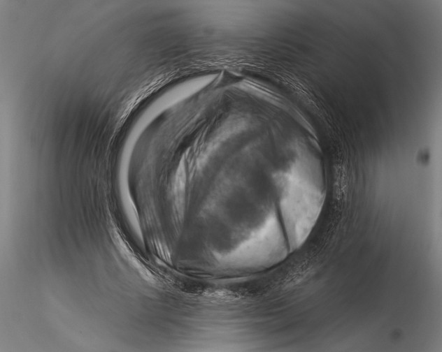 X0000116060634200912111529