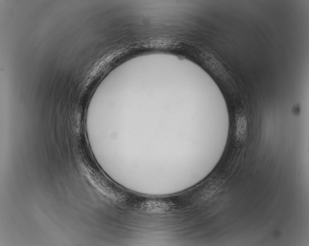 X0000116060636200912111529