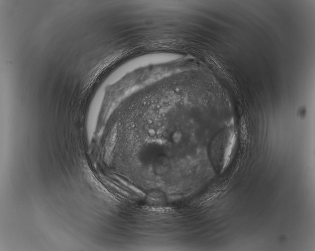 X0000116060637200912111529