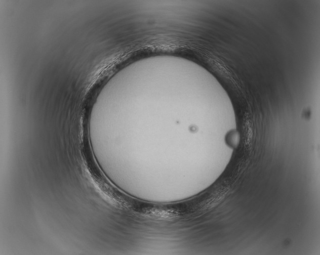 X0000116060638200912111529