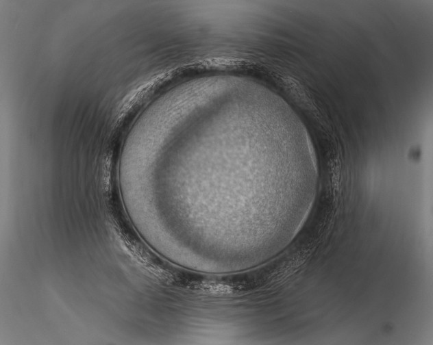 X0000116060640200912111529