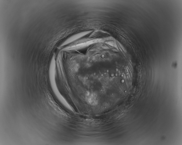 X0000116060641200912111529