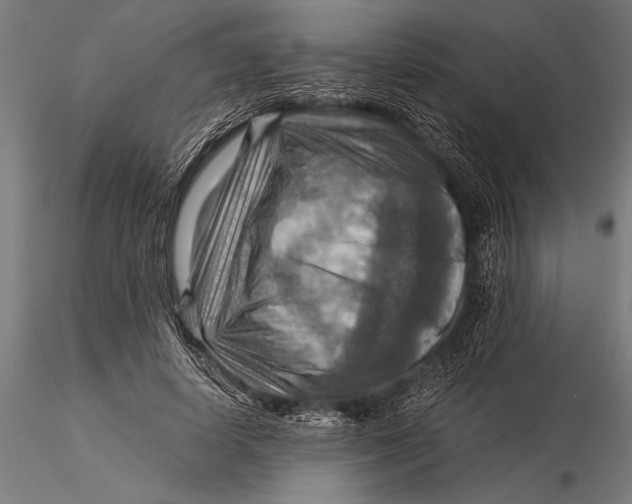 X0000116060642200912111529