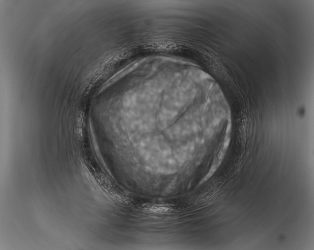 X0000116060643200912111529