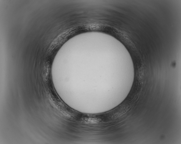 X0000116060645200912111529