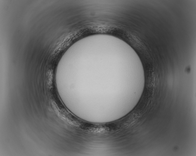 X0000116060646200912111529