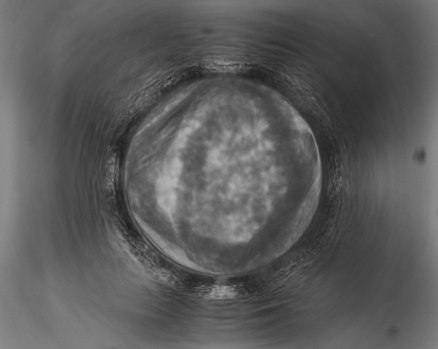 X0000116060647200912111529