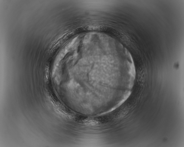 X0000116060648200912111529