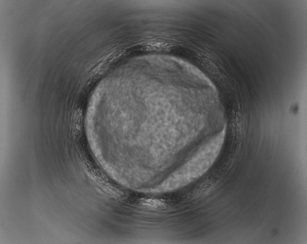 X0000116060649200912111529