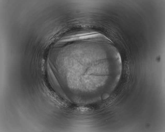 X0000116060650200912111529